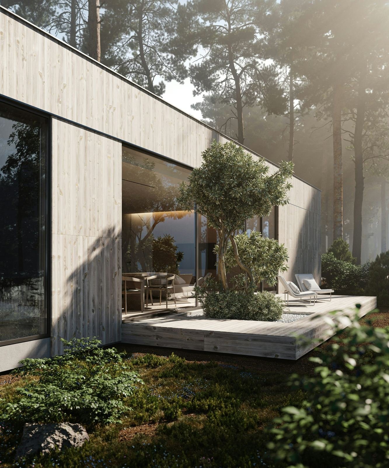 Modern home with a courtyard tree in the forest